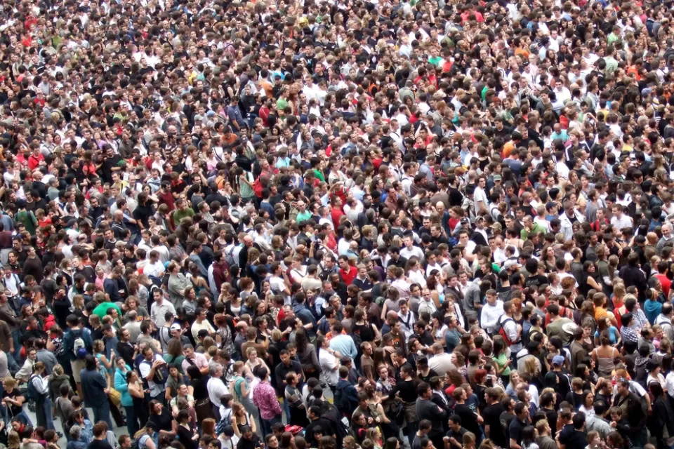 Crowd